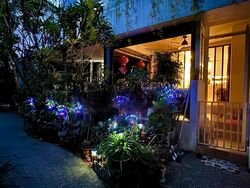 Northwood (D27), Condominium #474199971